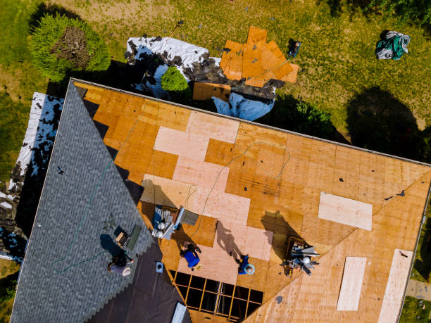 Best Roof Maintenance Services  in Gorman, TX